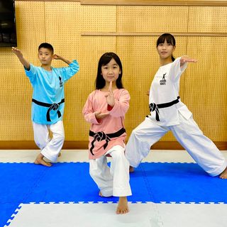 Okinawan Karate T -Shirt Original [couleur unie] [xs à xl]