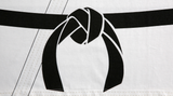 Okinawa Karate Original Logo T -shirt [L and XL]